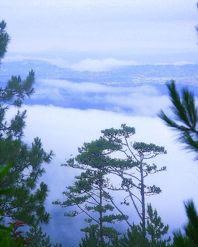 DALAT CLUB - Nơi hội tụ những người yêu Đà Lạt - 2