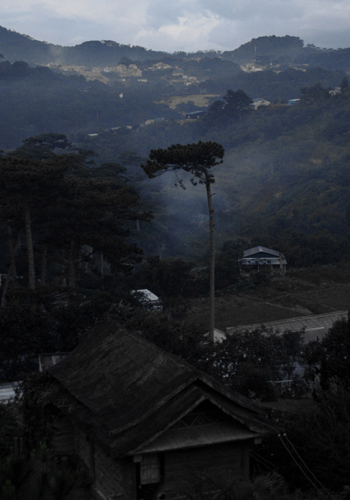 DALAT CLUB - Nơi hội tụ những người yêu Đà Lạt - 5