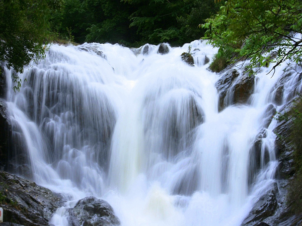 DALAT CLUB - Nơi hội tụ những người yêu Đà Lạt - 10