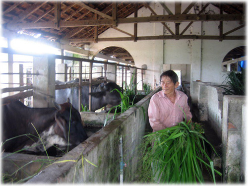 Anh hùng Hồ Giáo: Bên ngoài trang sách