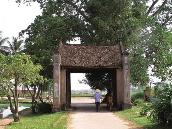 Đừng đổ lỗi cho văn hóa đô thị