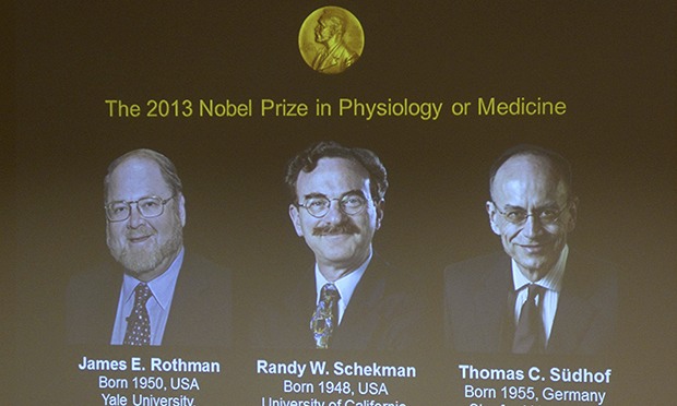 Ba nhà khoa học đến từ trường Đại học Mỹ đoạt giải Nobel Y học