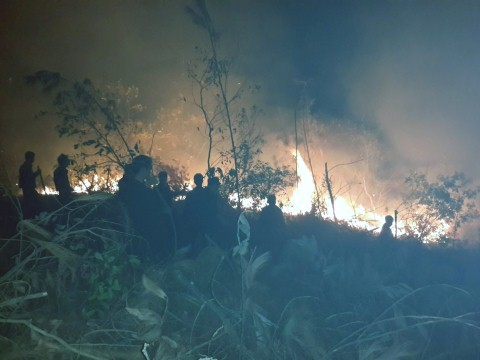 Dập tắt đám cháy rừng keo ở Uông Bí - Quảng Ninh