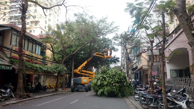 Hà Nội, nắng nóng và cây xanh