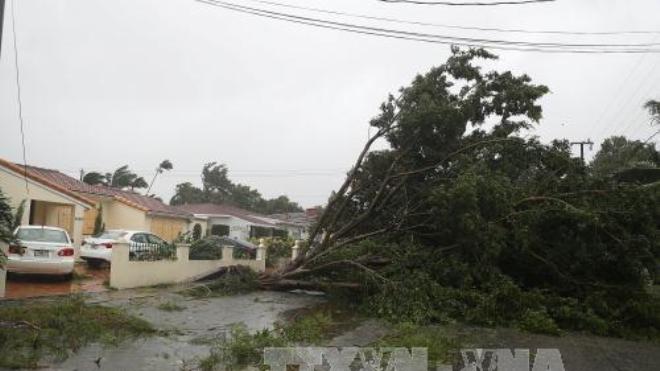 Siêu bão Irma quét qua Florida, 6 triệu người phải sơ tán