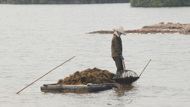 Cát Bà - Quần đảo du lịch 'xanh' đẳng cấp quốc tế