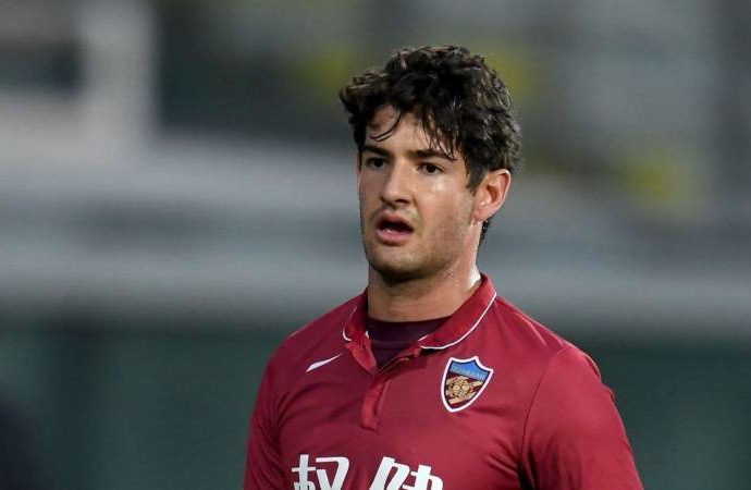 Pato