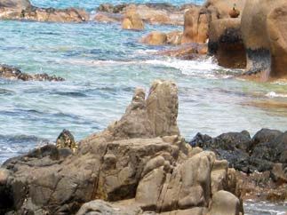 Bãi đá cổ ở Bình Thuận