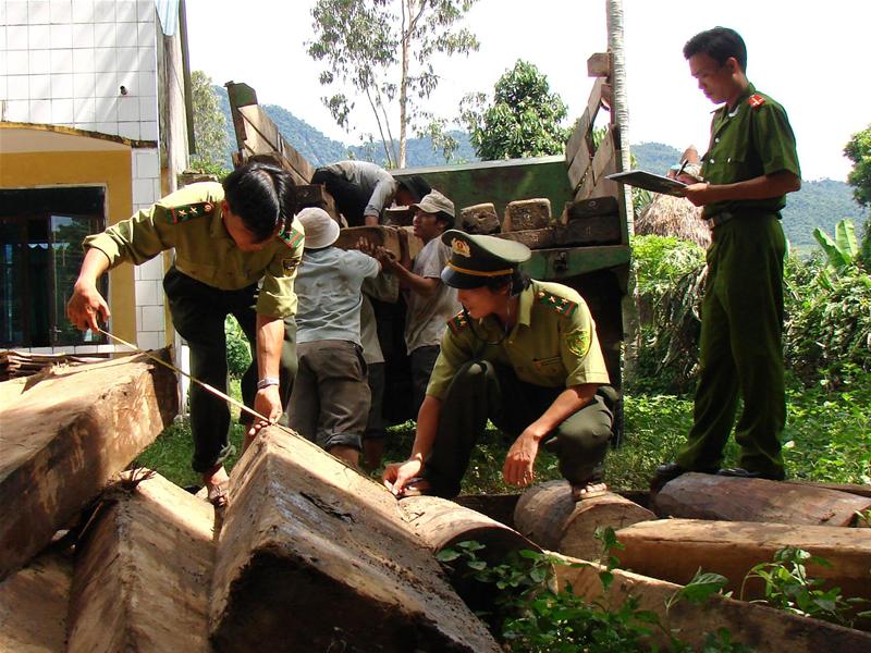 Cán bộ kiểm lâm bị lâm tặc vây đánh trọng thương