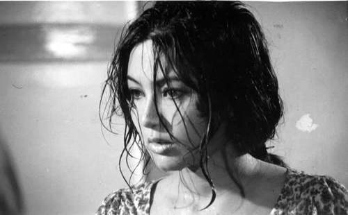  Thẩm Thúy Hằng: Nỗi buồn nhan sắc lúc cuối đời (Kỳ 1)