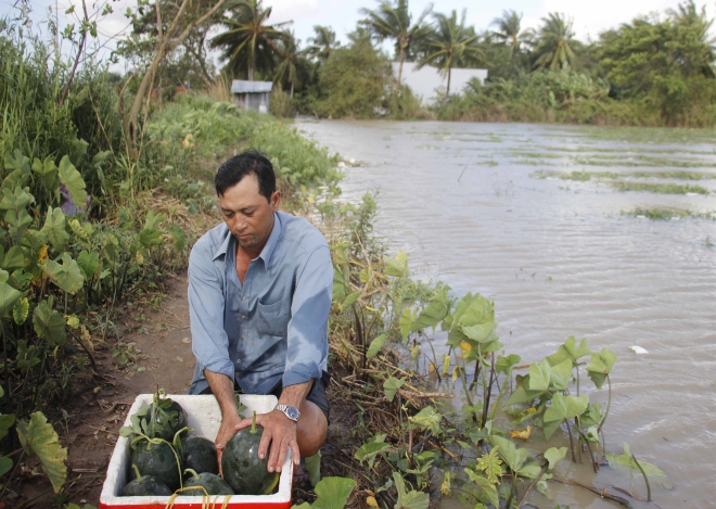 Nghỉ tết, Tết nguyên đán, Lịch nghỉ tết, Nghỉ tết âm lịch 2019, Nghỉ tết 2019, nghỉ tết nguyên đán, lịch nghỉ tết nguyên đán, tết âm lịch 2019, hoa tết, hoa quả tết