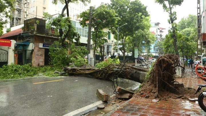 Hà Nội mưa to, đổ cây và ngập úng nhiều tuyến phố do bão số 3