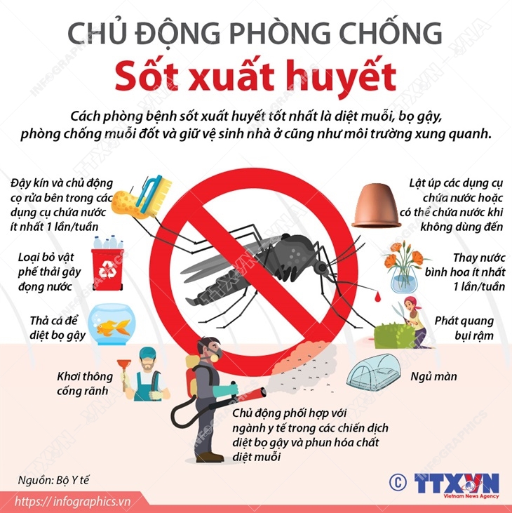 Sốt xuất huyết, Triệu chứng sốt xuất huyết, Chữa sốt xuất huyết, Sot xuat huyet, điều trị sốt xuất huyết, cách chữa Sốt xuất huyết, Sốt xuất huyết kiêng gì