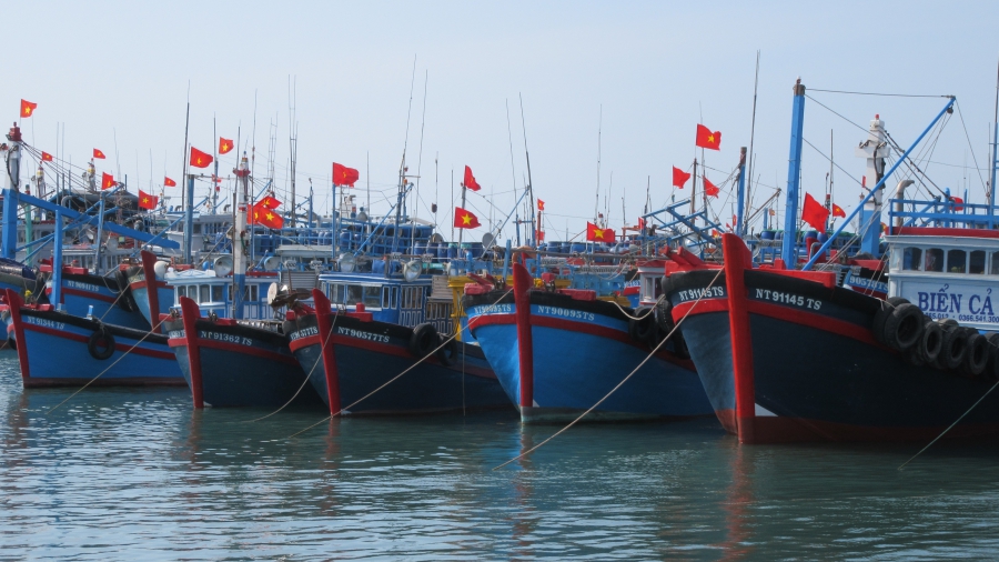 Các tỉnh, thành phố từ Quảng Ninh đến Khánh Hòa chủ động ứng phó với áp thấp nhiệt đới