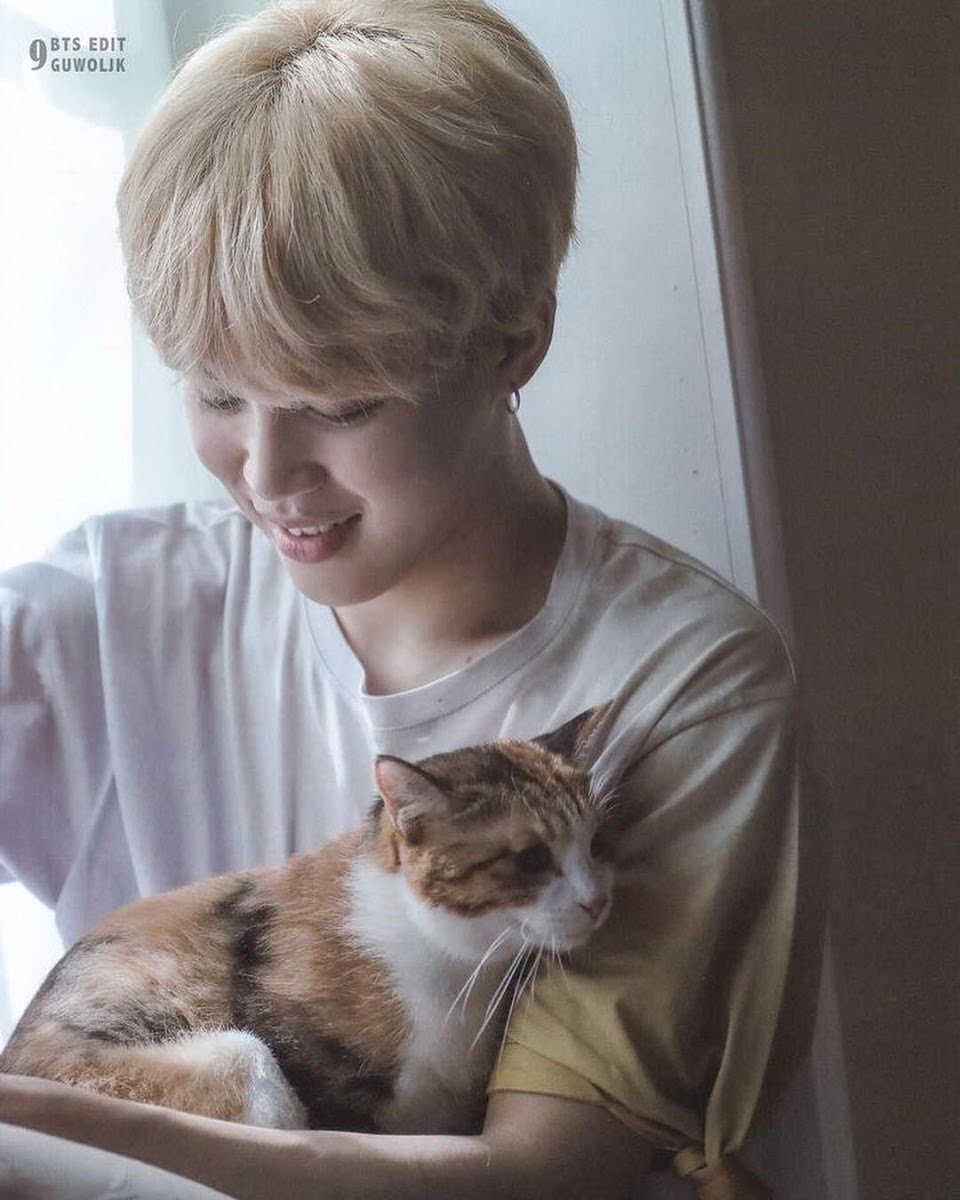 BTS, BTS Island, In the SEOM, BTS Island In the SEOM, BTS phát triển game, ARMY, idol, k pop, V BTS, Suga, Jin, Jimin, Jungkook, RM, J Hope, JHope, thần tượng, game BTS