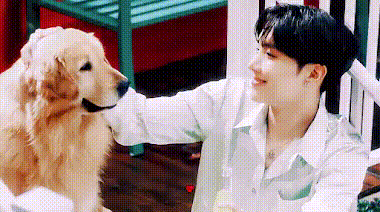 BTS, ARMY, Jhope, J Hope, Jhope BTS, J Hope BTS, idol, kpop, kpop, idol kpop, thành viên BTS, giàu nhất BTS, thành viên giàu nhất BTS, thú cưng, JHope nuôi thú cưng