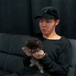 BTS, ARMY, Jhope, J Hope, Jhope BTS, J Hope BTS, idol, kpop, kpop, idol kpop, thành viên BTS, giàu nhất BTS, thành viên giàu nhất BTS, thú cưng, JHope nuôi thú cưng