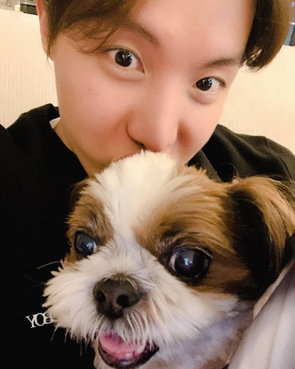 BTS, ARMY, Jhope, J Hope, Jhope BTS, J Hope BTS, idol, kpop, kpop, idol kpop, thành viên BTS, giàu nhất BTS, thành viên giàu nhất BTS, thú cưng, JHope nuôi thú cưng
