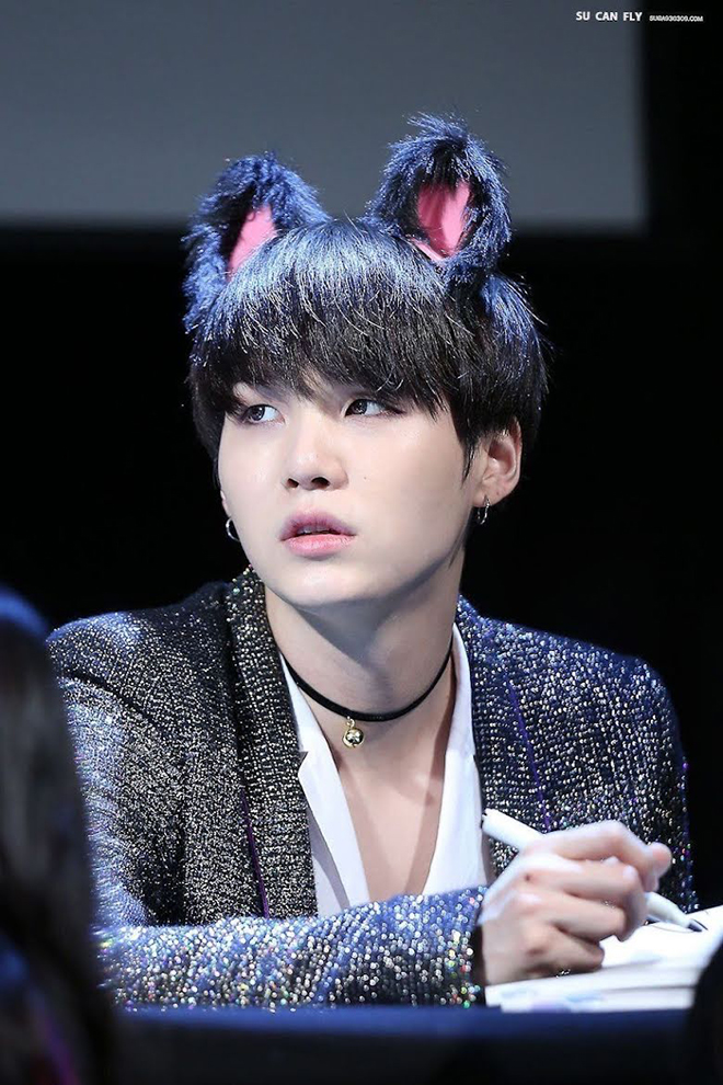 BTS, Suga, Tại sao ARMY lại gọi Suga BTS là Lil Meow Meow, Jungkook, V BTS