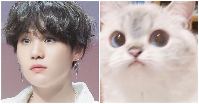 BTS, Suga, Tại sao ARMY lại gọi Suga BTS là Lil Meow Meow, Jungkook, V BTS