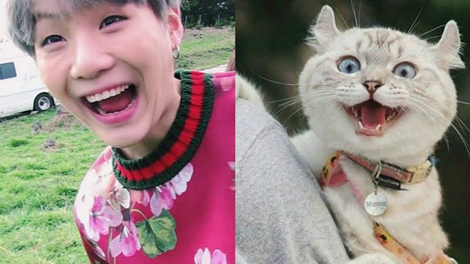 BTS, Suga, Tại sao ARMY lại gọi Suga BTS là Lil Meow Meow, Jungkook, V BTS