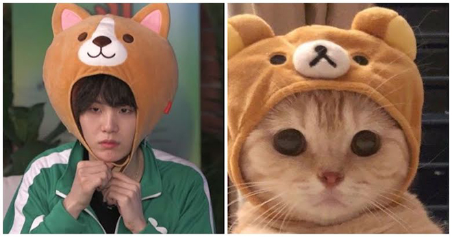 BTS, Suga, Tại sao ARMY lại gọi Suga BTS là Lil Meow Meow, Jungkook, V BTS