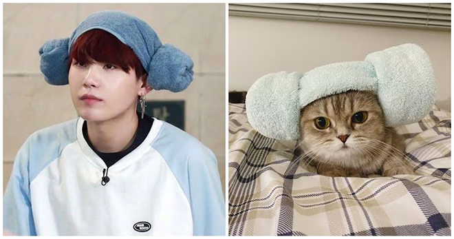 BTS, Suga, Tại sao ARMY lại gọi Suga BTS là Lil Meow Meow, Jungkook, V BTS