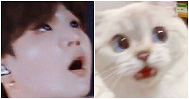 BTS, Suga, Tại sao ARMY lại gọi Suga BTS là Lil Meow Meow, Jungkook, V BTS