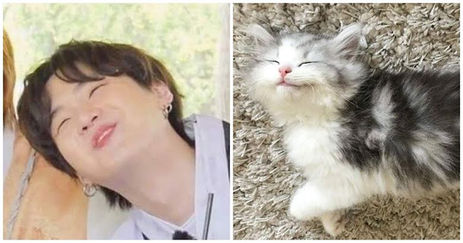 BTS, Suga, Tại sao ARMY lại gọi Suga BTS là Lil Meow Meow, Jungkook, V BTS