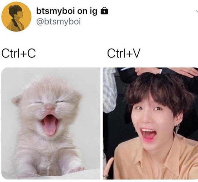 BTS, Suga, Tại sao ARMY lại gọi Suga BTS là Lil Meow Meow, Jungkook, V BTS