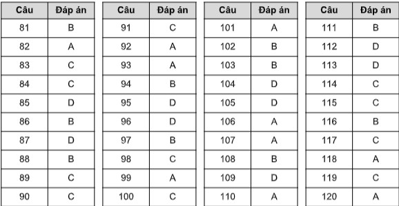 Đáp án Đề minh họa, Đáp án Đề thi minh họa, Đề thi minh họa, Đề minh họa, Đáp án Đề thi minh họa 2020, Đáp án Đề minh họa 2020, đáp án đề minh họa, đáp án đề thi minh họa