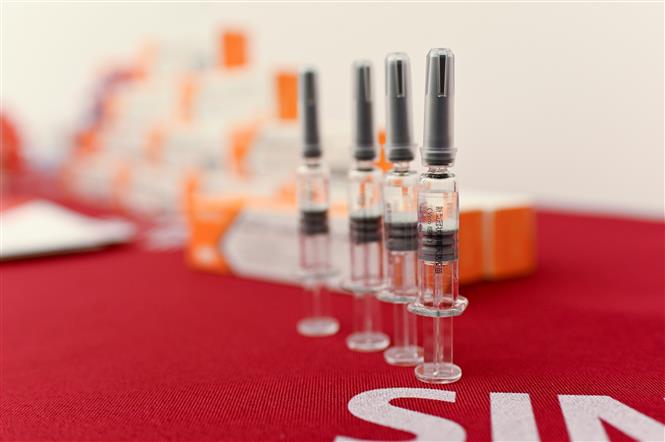 Vaccine ngừa COVID-19 do Công ty Sinovac của Trung Quốc bào chế, tại Bắc Kinh, Trung Quốc, ngày 24/9/2020. Ảnh: AFP/TTXVN