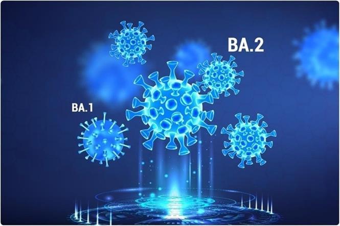  biến chủng Omicron. mức độ lây nhiễm của biến chủng Omicron , đánh giá mức độ lây nhiễm của biến chủng Omicron 