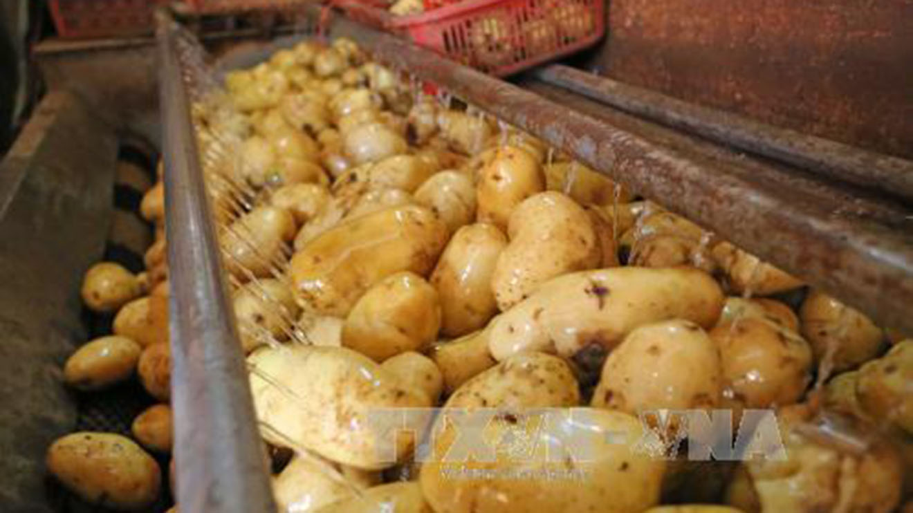 nhu cầu thực phẩm, thực phẩm, nhu cầu thực phẩm trong mùa dịch, mùa dịch, thực phẩm mùa dịch, thực phẩm trong mùa dịch, nhu cầu thực phẩm chuyển làn, nhu cầu ăn uống