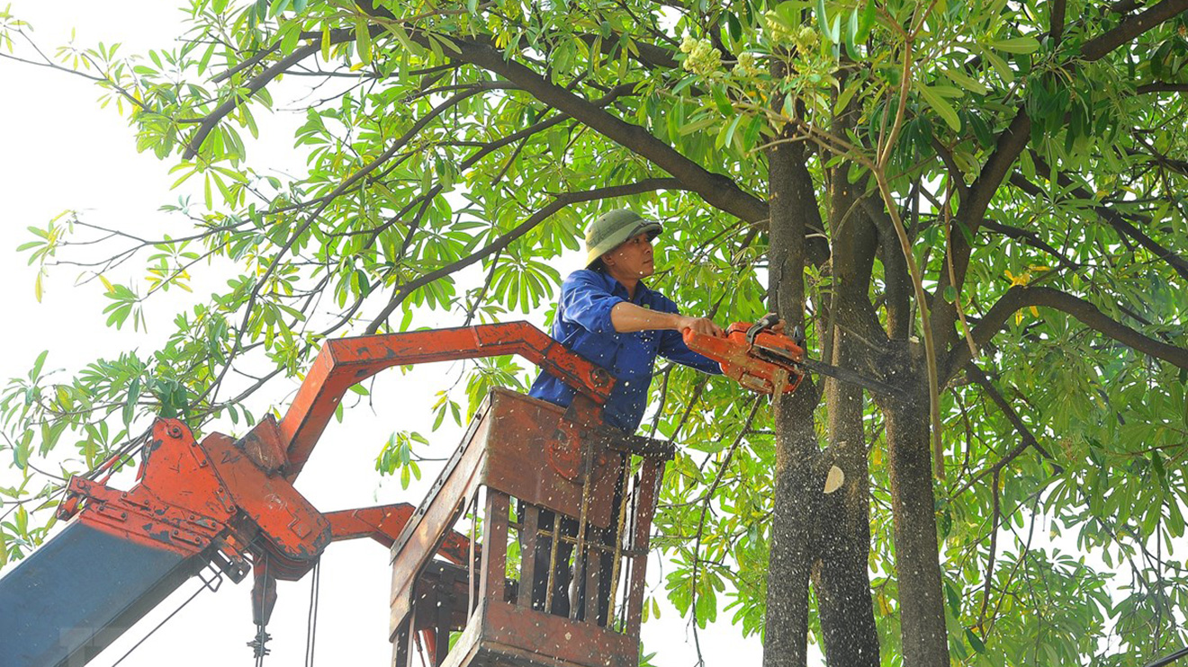 Hà Nội phòng chống thiên tai, phòng chống thiên tai