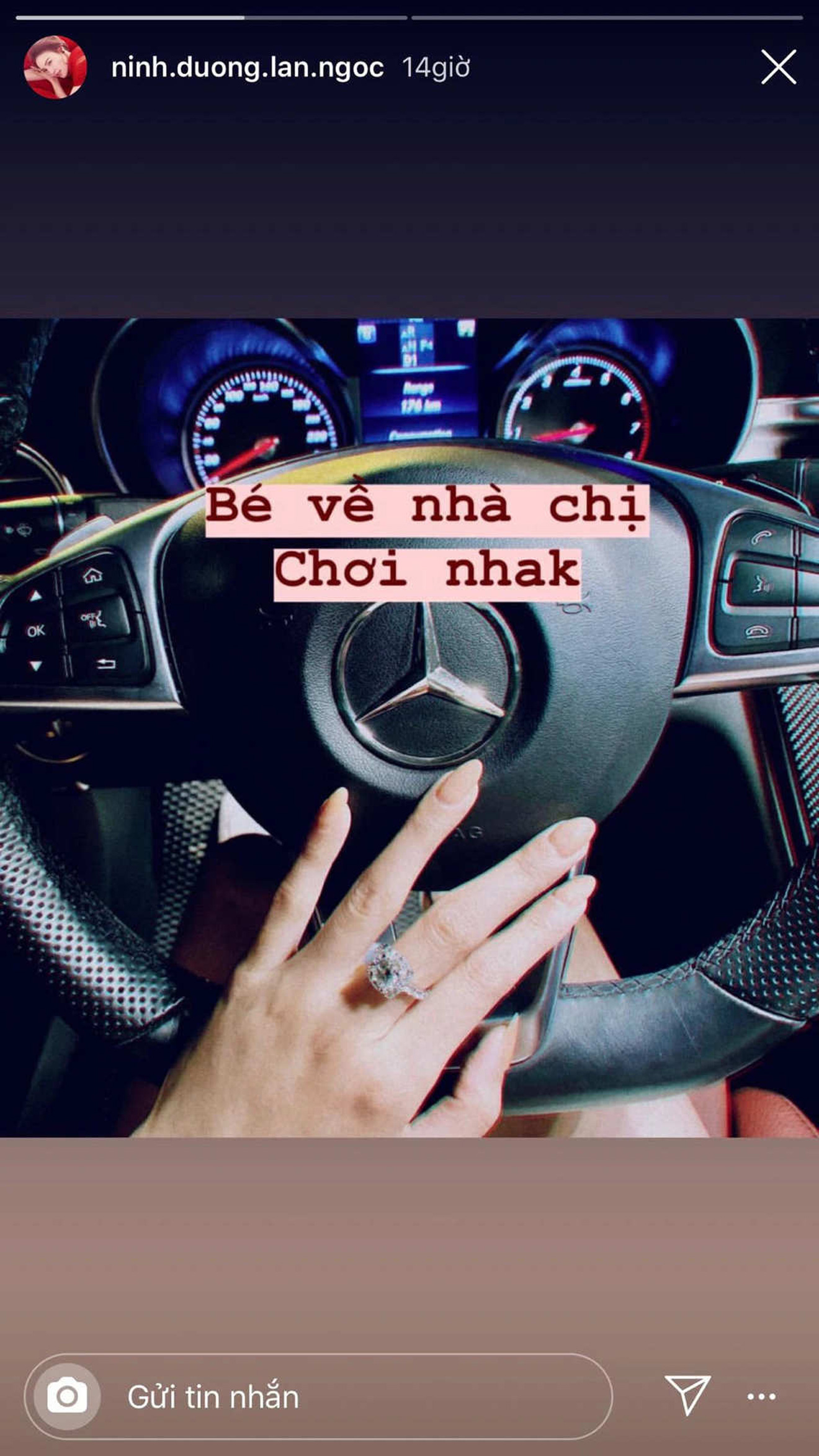 Ninh Dương Lan Ngọc xứng danh đại gia, Ninh Dương Lan Ngọc