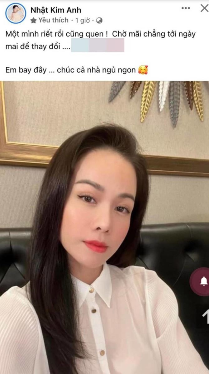 Nhật Kim Anh thả thính, Nhật Kim Anh được đẩy thuyền về với chồng cũ