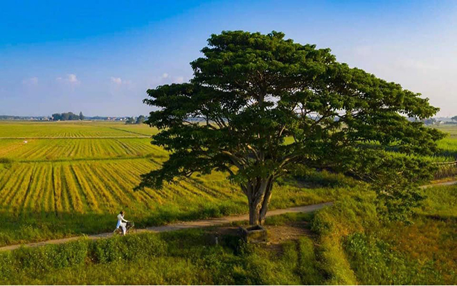 Liên hoan phim Việt Nam 22, Thừa Thiên Huế điểm đến của các nhà làm phim, Liên hoan phim Việt Nam lần thứ 22, LHP Việt Nam 22, Huế điểm đến của các nhà làm phim