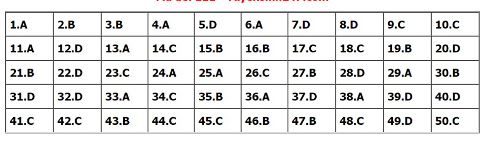Đáp án môn Toán, Đáp án Toán, Đáp án môn Toán thi Tốt nghiệp THPT 2022, đáp án Toán, Đáp án môn Toán 24 mã đề, Đáp án Toán 24 mã đề, đáp án Toán thi THPT năm 2022