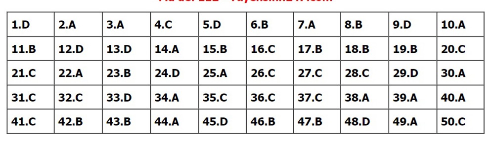 Đáp án môn Toán, Đáp án Toán, Đáp án môn Toán thi Tốt nghiệp THPT 2022, đáp án Toán, Đáp án môn Toán 24 mã đề, Đáp án Toán 24 mã đề, đáp án Toán thi THPT năm 2022