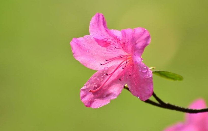 tử vi hôm nay, tử vi 13/8/2022, tử vi ngày 13/8 của 12 con giáp, tử vi ngày, tử vi đầu số, tử vi 13/8, tử vi 2022, lá số tử vi, tử vi ngày mai, 12 con giáp ngày 13/8