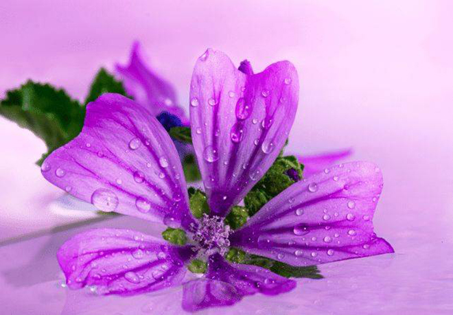 tử vi hôm nay, tử vi ngày mai, tử vi 12 con giáp, dự đoán 12 con giáp ngày mai, tử vi đầu số, tử vi 2022, dự đoán 12 con giáp, tử vi 19/8/2022, tử vi ngày 19/8