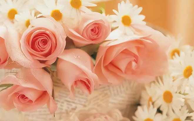 tử vi hôm nay, tử vi 23/8/2022, tử vi ngày 23/8 của 12 con giáp, tử vi ngày mai, 12 con giáp ngày 23/8, tử vi ngày, tử vi đầu số, tử vi 23/8, tử vi 2022, lá số tử vi