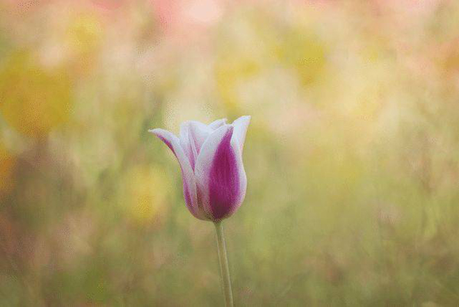 tử vi hôm nay, tử vi 20/8/2022, tử vi ngày 20/8 của 12 con giáp, tử vi ngày, tử vi đầu số, tử vi 20/8, tử vi 2022, lá số tử vi, tử vi ngày mai, 12 con giáp ngày 20/8