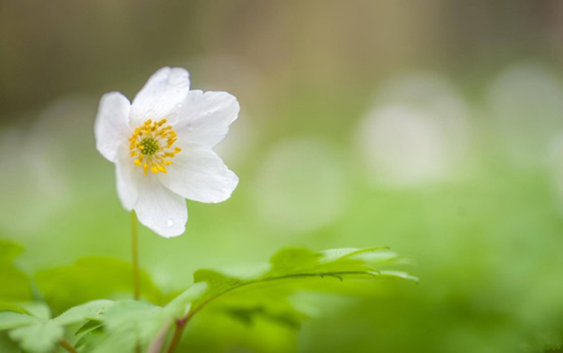 ngày 23 tháng 8 năm 2022, ngày 23/8/2022 tốt hay xấu, xem ngày tốt, lịch âm 2022, lịch vạn niên ngày 23/8/2022, âm lịch hôm nay 23/8, Lịch vạn niên ngày 23 tháng 8
