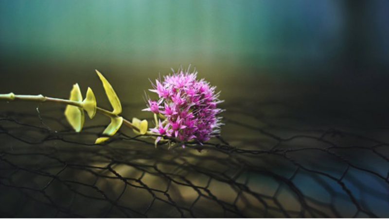 ngày 29 tháng 8 năm 2022, ngày 29/8/2022 tốt hay xấu, xem ngày tốt, lịch âm 2022, lịch vạn niên ngày 29/8/2022, âm lịch hôm nay 29/8, Lịch vạn niên ngày 29 tháng 8