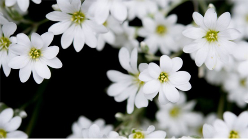 ngày 28 tháng 8 năm 2022, ngày 28/8/2022 tốt hay xấu, xem ngày tốt, lịch âm 2022, lịch vạn niên ngày 28/8/2022, âm lịch hôm nay 28/8, Lịch vạn niên ngày 28 tháng 8