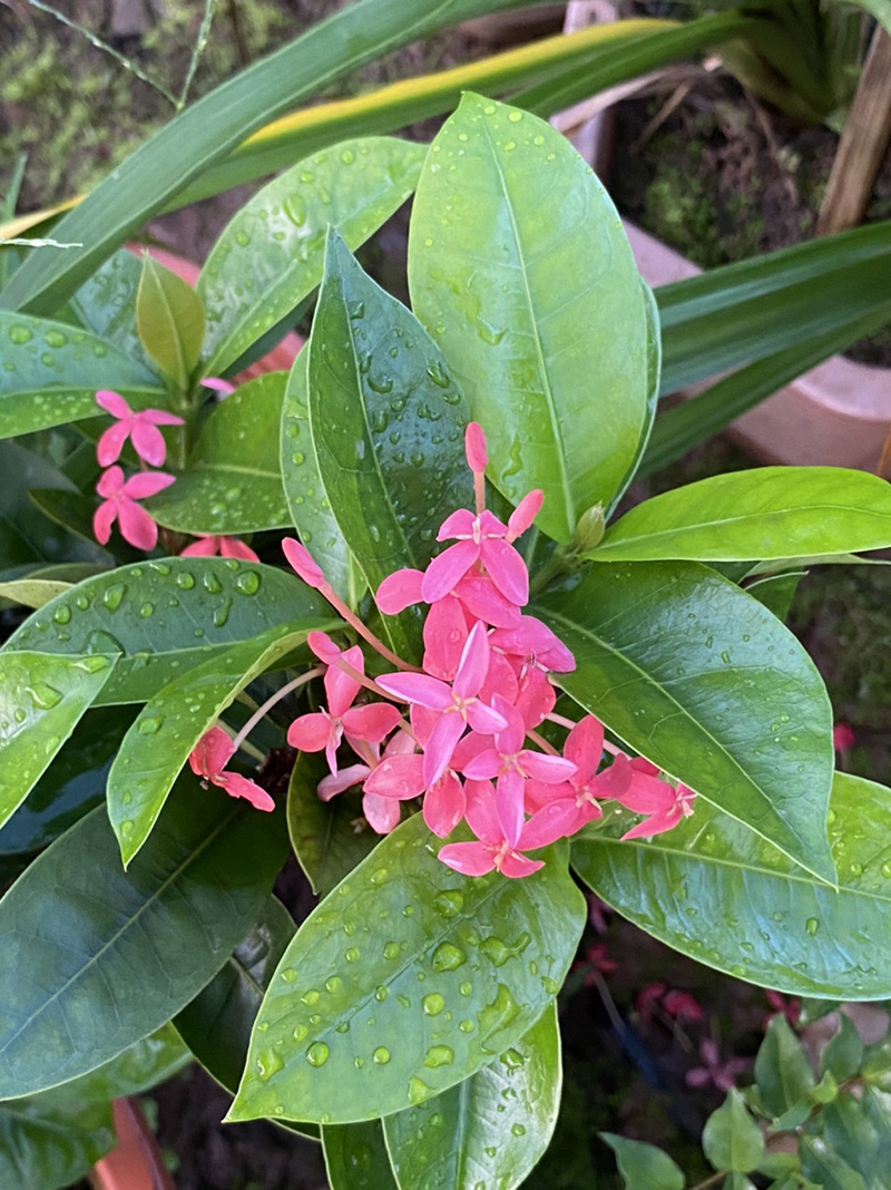 ngày 3 tháng 8 năm 2022, ngày 3/8/2022 tốt hay xấu, lịch âm 2022, lịch vạn niên ngày 3/8/2022, âm lịch hôm nay 3/8, Lịch vạn niên ngày 3 tháng 8, 3/8 ngày tốt, ngày 3/8