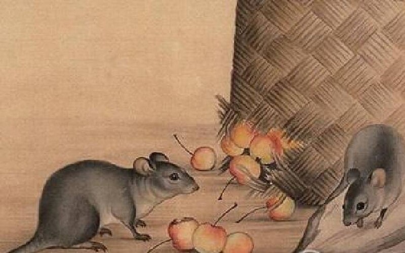 tử vi hôm nay, tử vi 7/8/2022, tử vi ngày 7/8 của 12 con giáp, tử vi ngày, tử vi đầu số, tử vi 6/8, tử vi 2022, lá số tử vi, tử vi hàng ngày, ngày 7/8/2022, tử vi