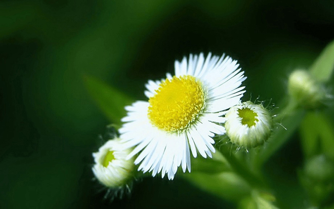 tử vi hôm nay, tử vi 18/8/2022, tử vi ngày 18/8 của 12 con giáp, tử vi ngày, tử vi đầu số, tử vi 18/8, tử vi 2022, lá số tử vi, tử vi ngày mai, 12 con giáp ngày 18/8